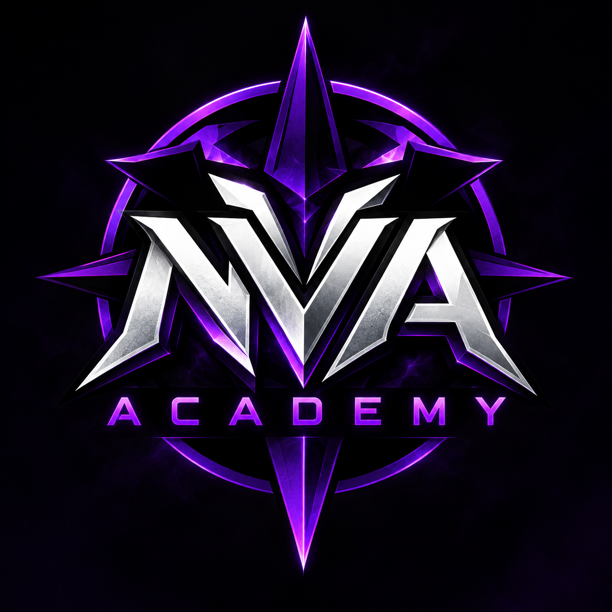 NVA ACADEMY